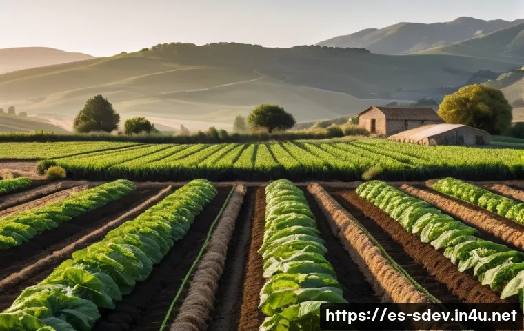 지속가능발전 분야의 지속 가능한 커리어 관련 이미지 2
